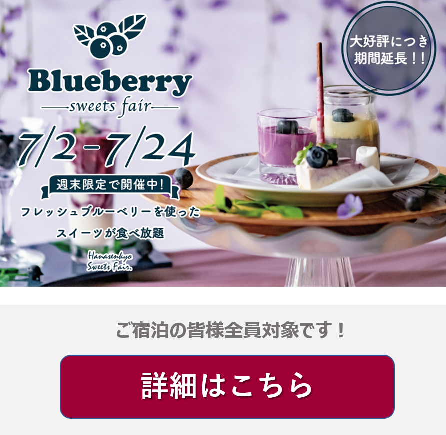 blueberryフェア