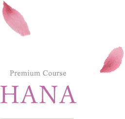 Premium Course HANA